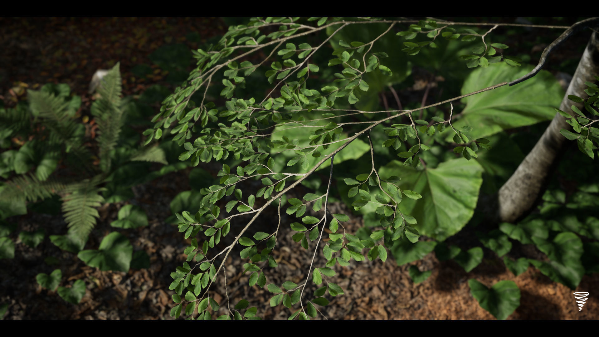 MAE Beech Forest - UE4 and UE5 Low-poly 3D model_14