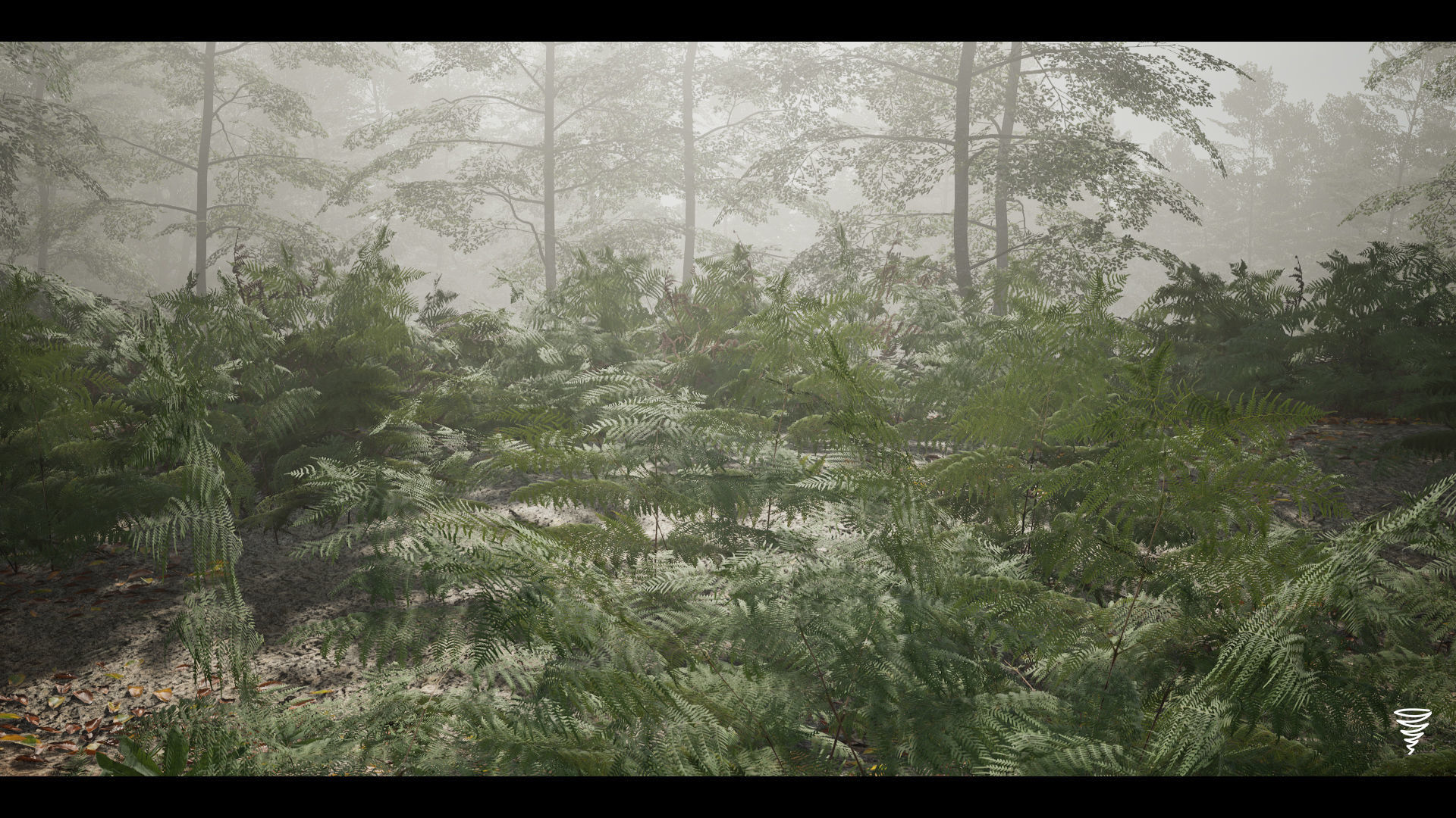 MAE Beech Forest - UE4 and UE5 Low-poly 3D model_17