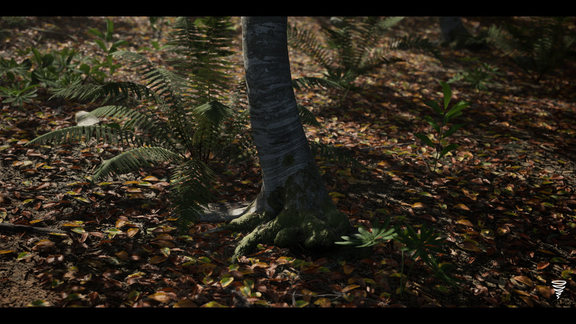 MAE Beech Forest - UE4 and UE5 Low-poly 3D model_10