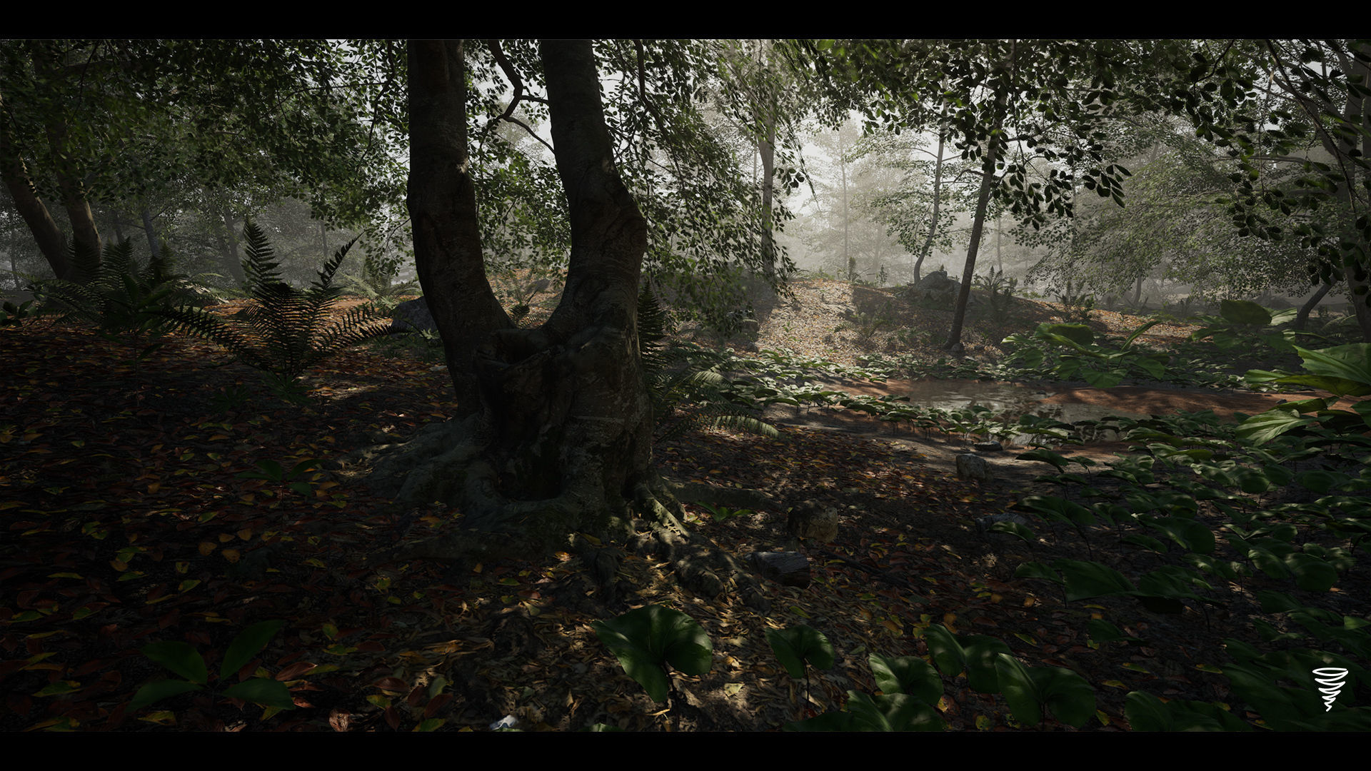 MAE Beech Forest - UE4 and UE5 Low-poly 3D model_2