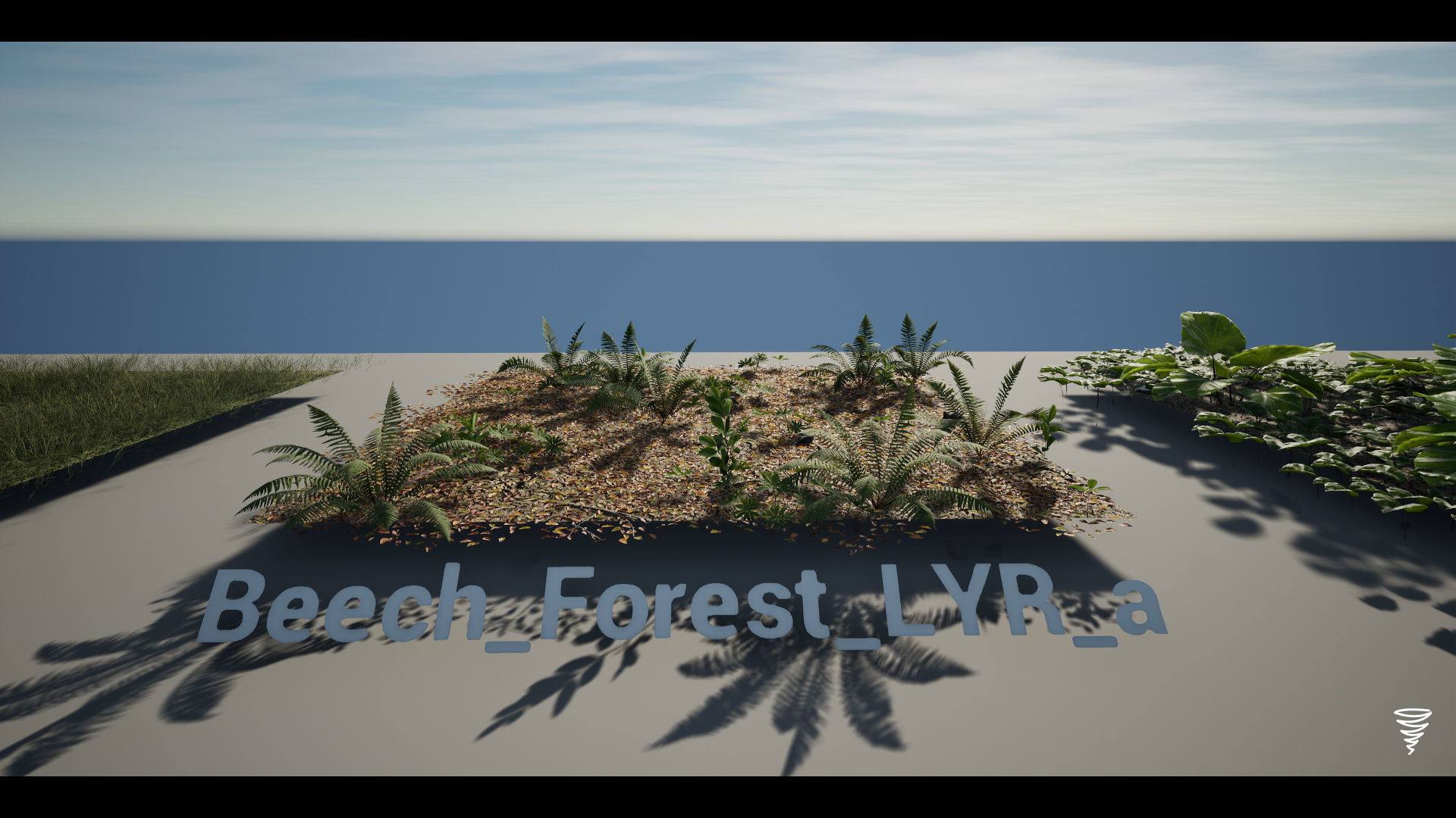 MAE Beech Forest - UE4 and UE5 Low-poly 3D model_19
