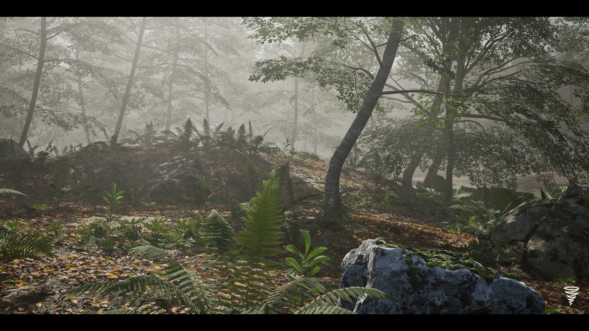 MAE Beech Forest - UE4 and UE5 Low-poly 3D model_16