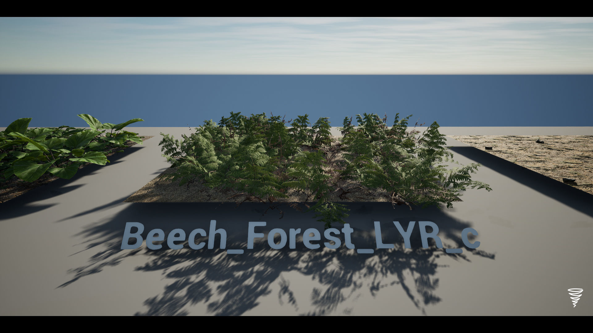 MAE Beech Forest - UE4 and UE5 Low-poly 3D model_21