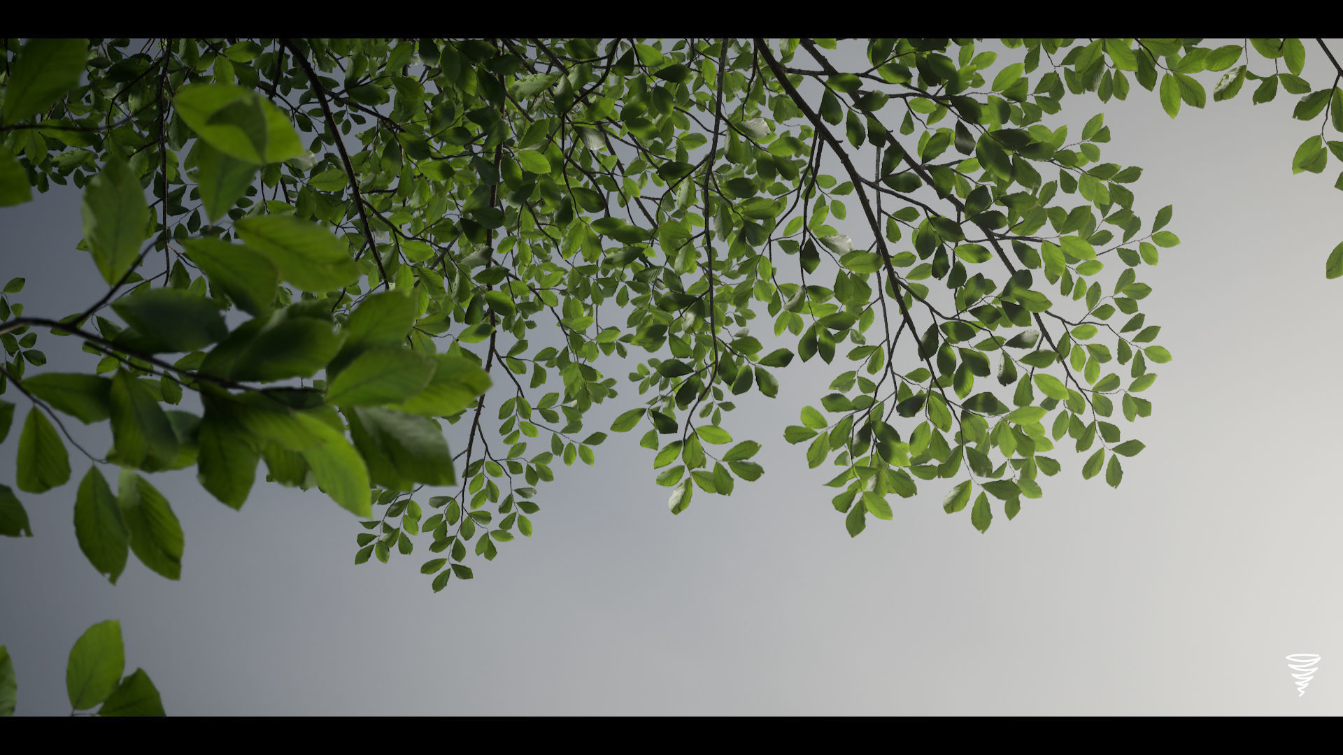 MAE Beech Forest - UE4 and UE5 Low-poly 3D model_15