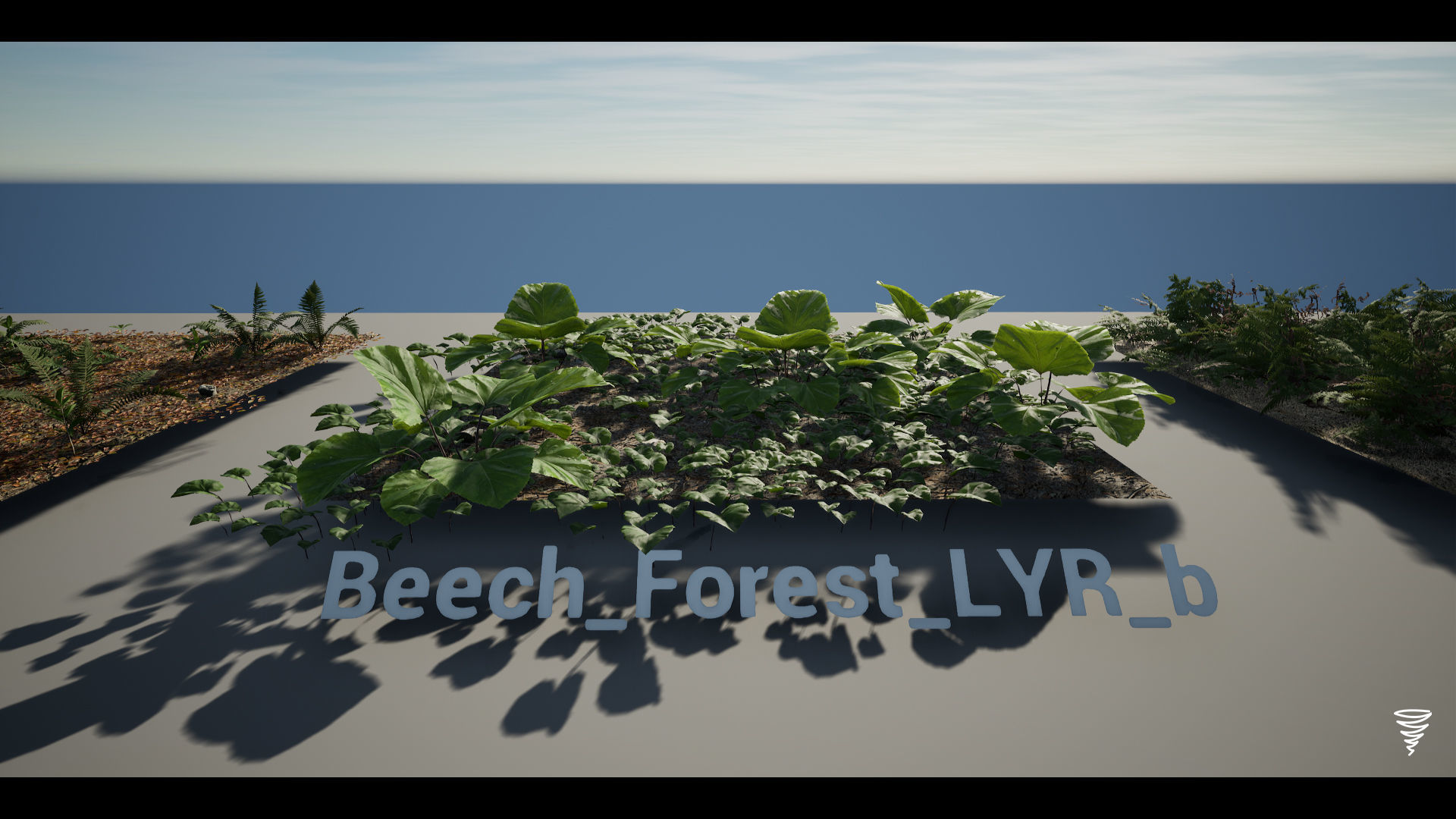 MAE Beech Forest - UE4 and UE5 Low-poly 3D model_20