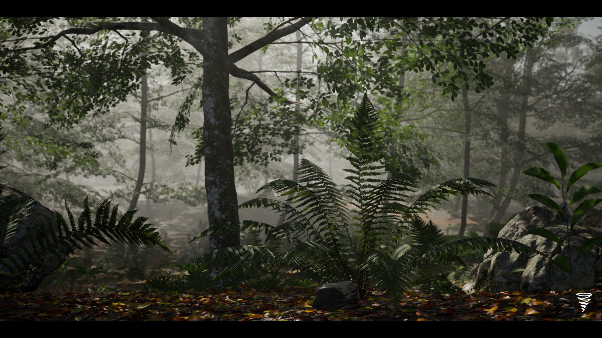 MAE Beech Forest - UE4 and UE5 Low-poly 3D model_8