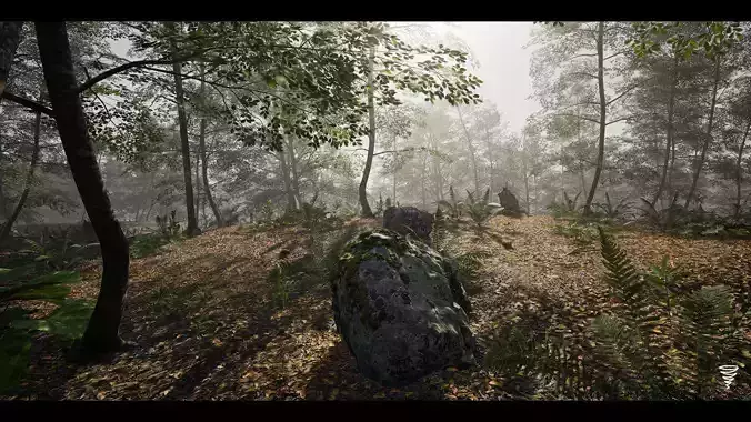 MAE Beech Forest - UE4 and UE5
