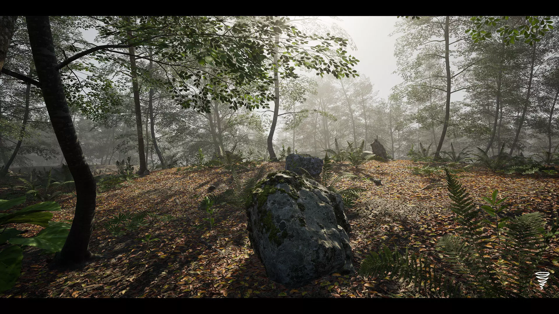 MAE Beech Forest - UE4 and UE5 Low-poly 3D model_0