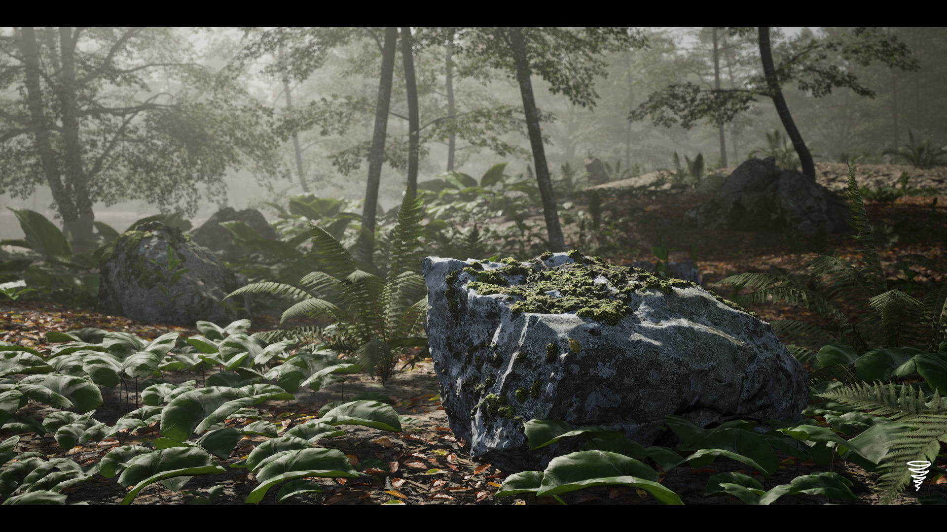 MAE Beech Forest - UE4 and UE5 Low-poly 3D model_13