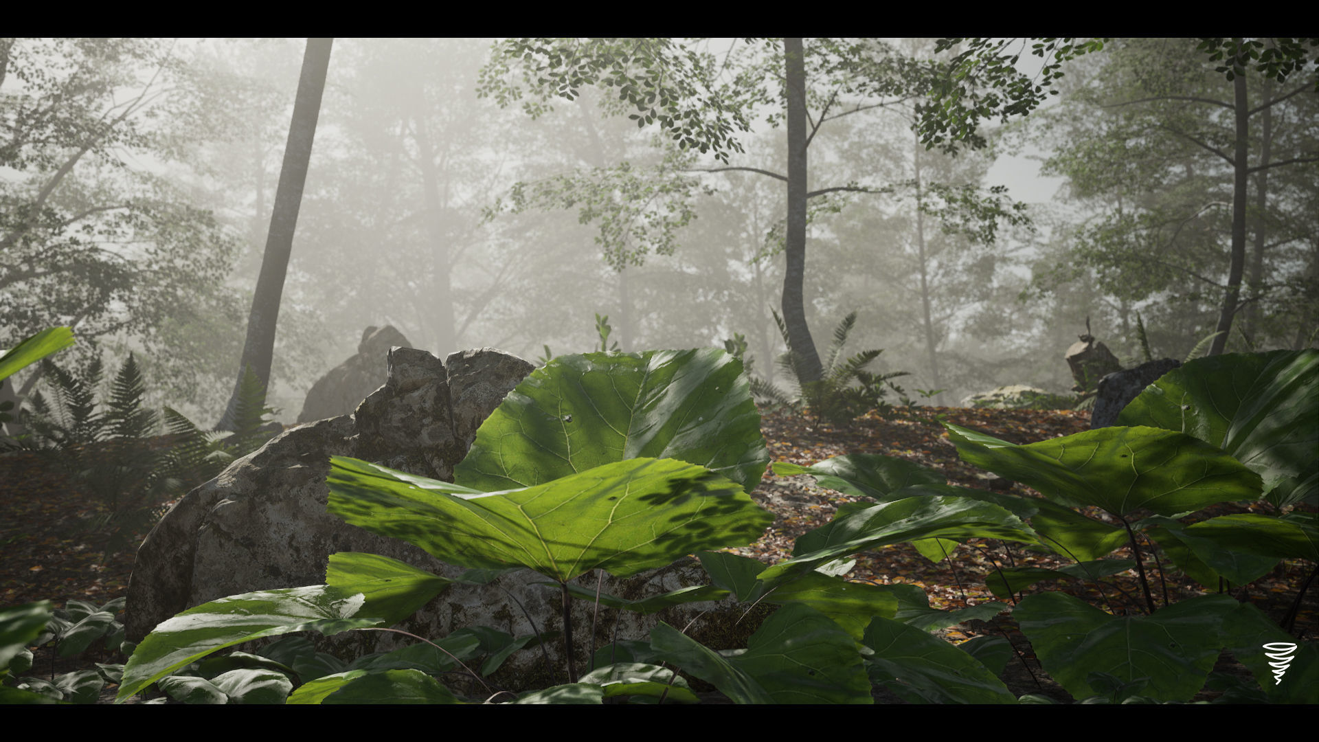 MAE Beech Forest - UE4 and UE5 Low-poly 3D model_12