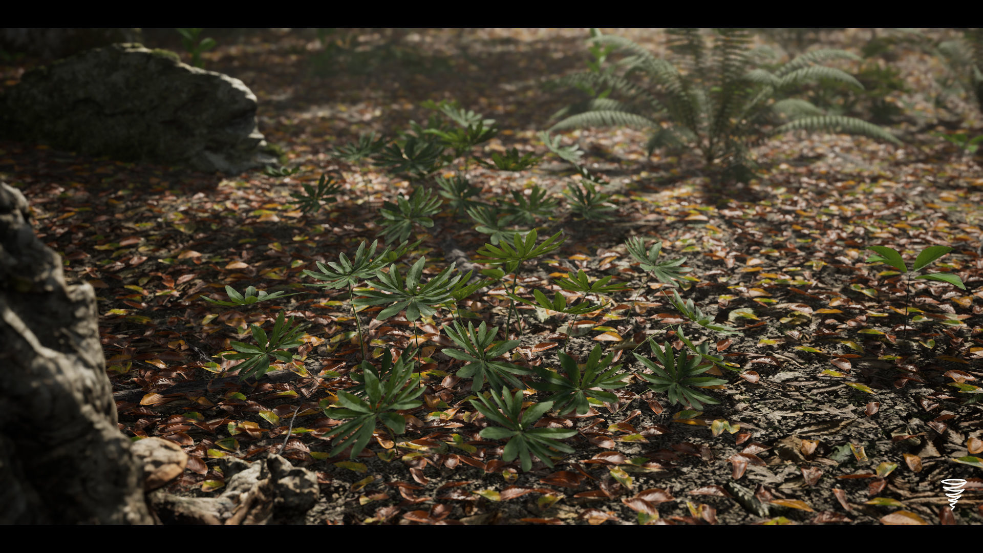 MAE Beech Forest - UE4 and UE5 Low-poly 3D model_9