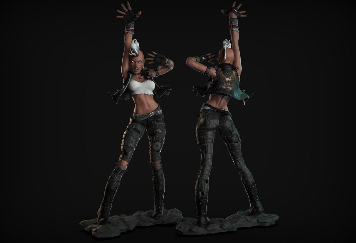 Storm Punk 3D print model_4