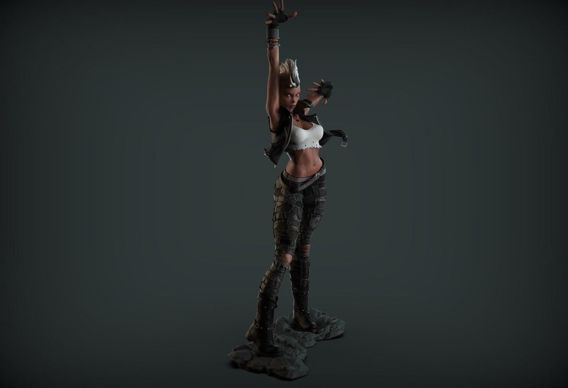 Storm Punk 3D print model_14