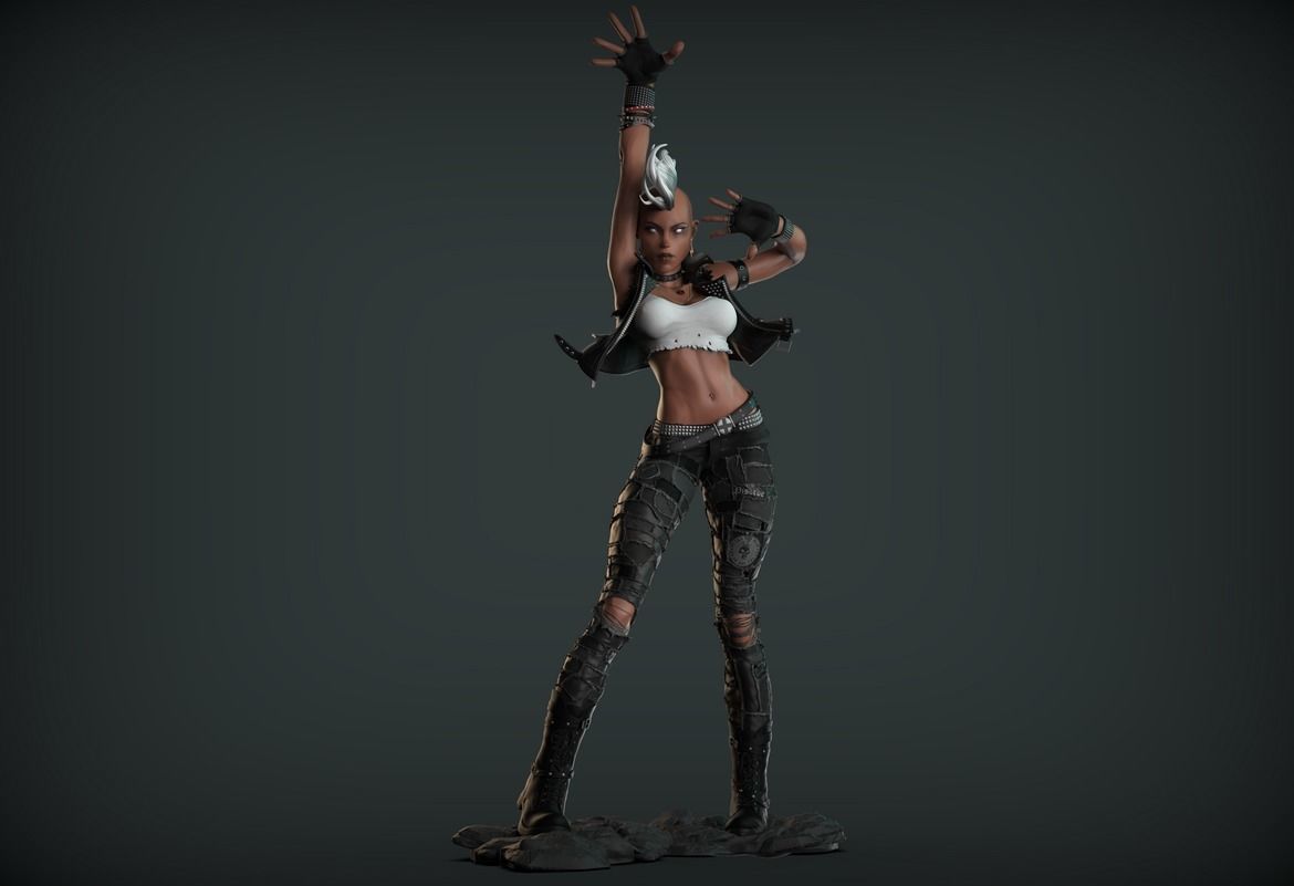 Storm Punk 3D print model_7