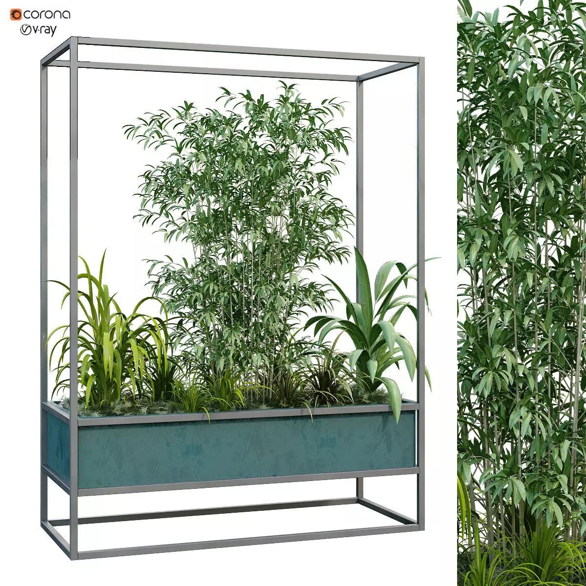 Interior plant in box set 251 3D model_0