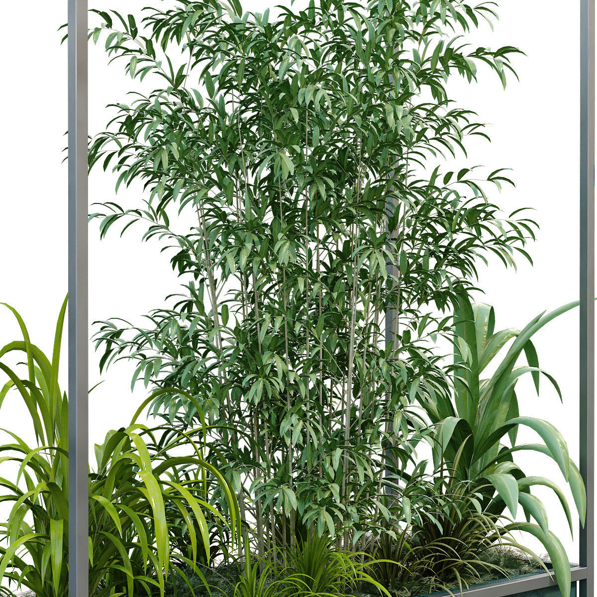 Interior plant in box set 251 3D model_2