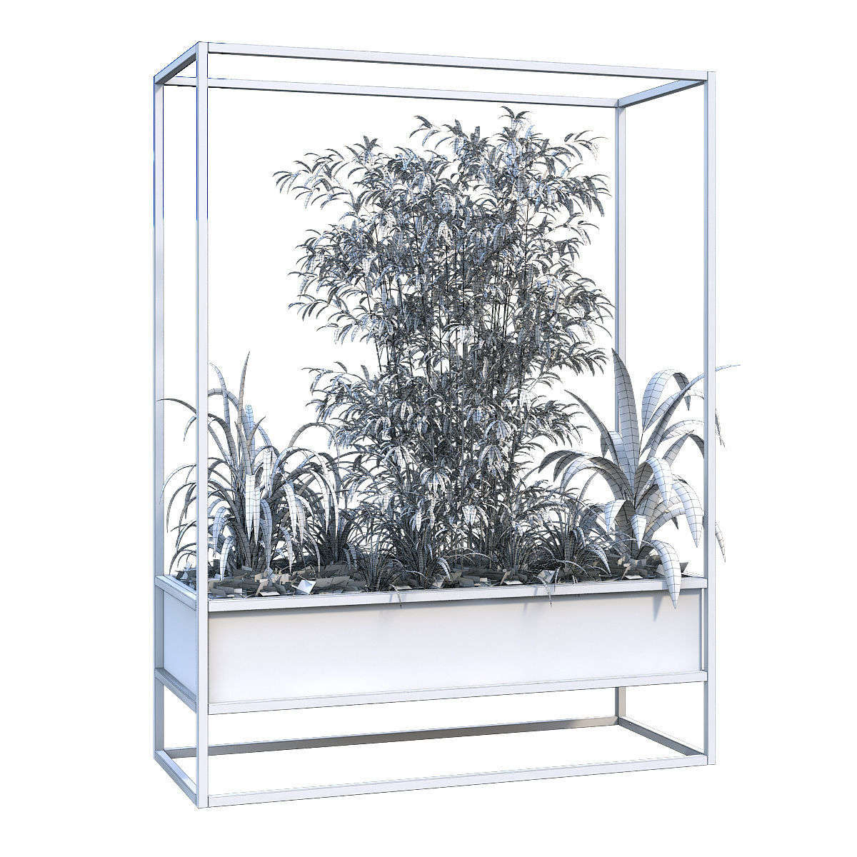 Interior plant in box set 251 3D model_6