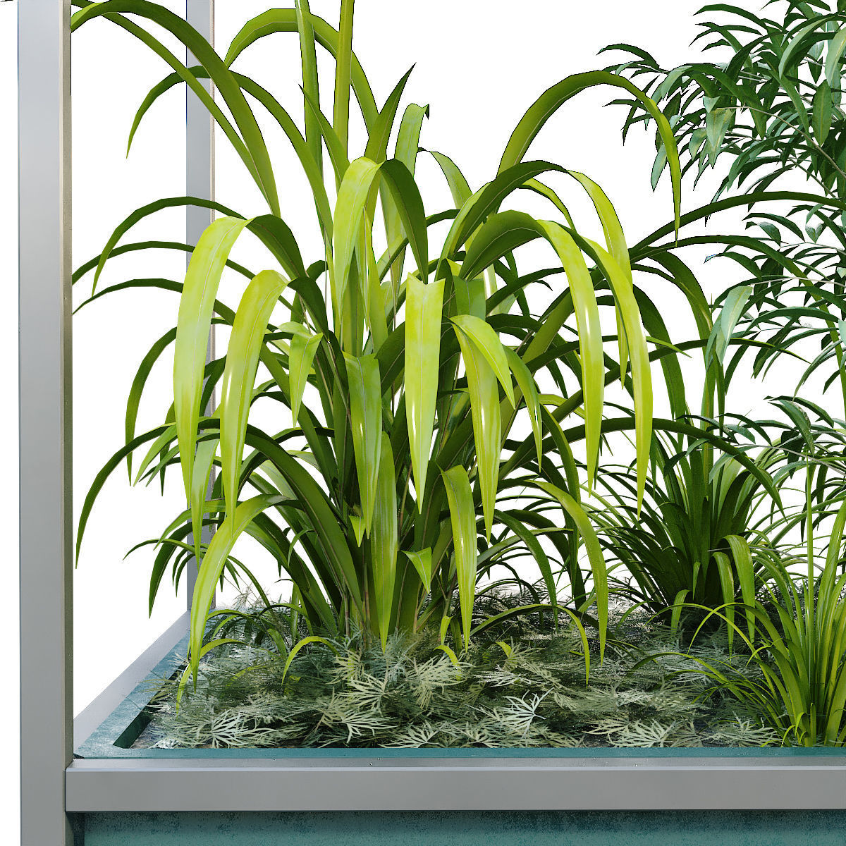 Interior plant in box set 251 3D model_5