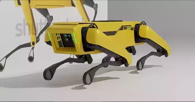 robot dog