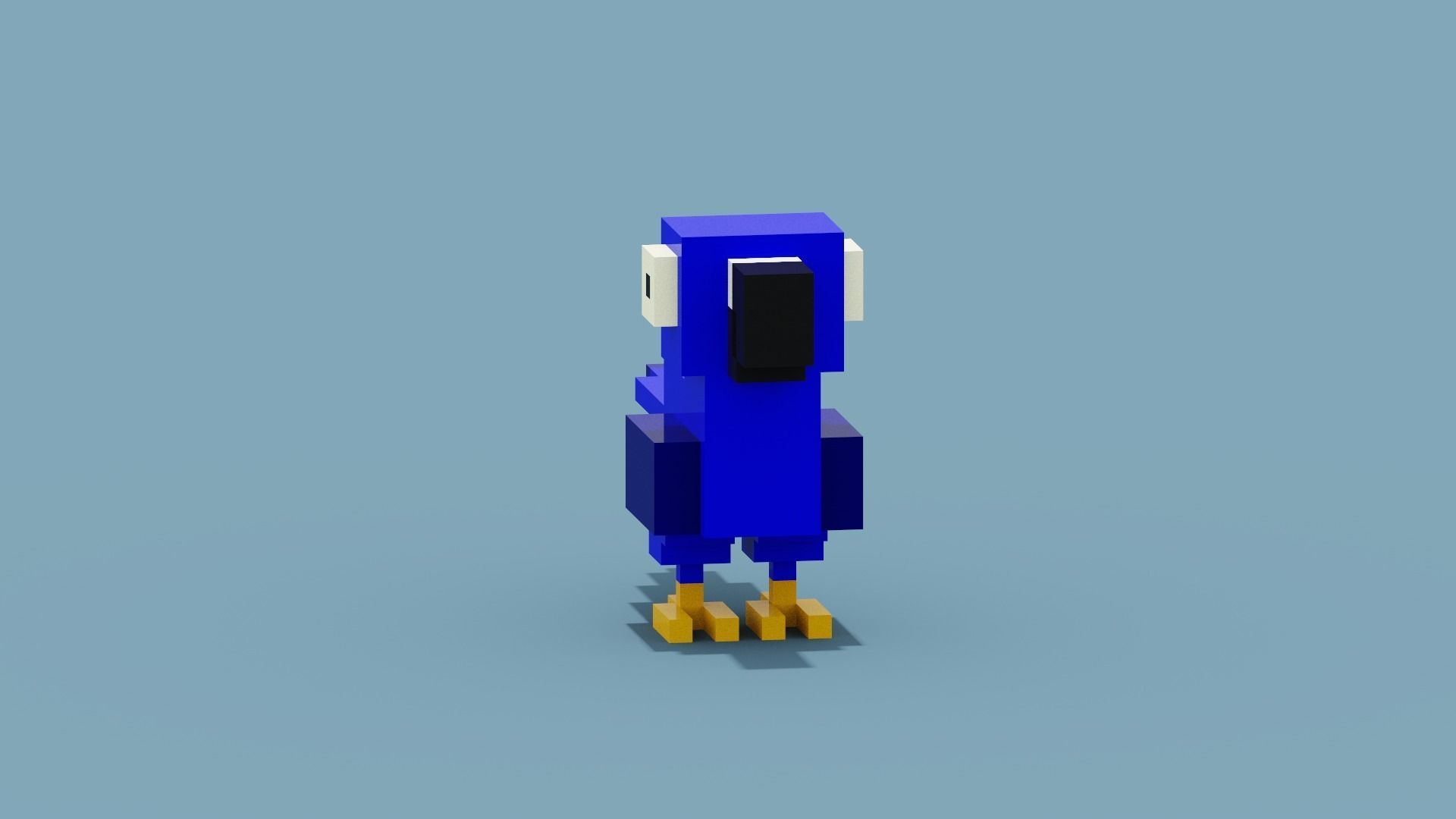 Voxel Blue Parrot Low-poly 3D model_9