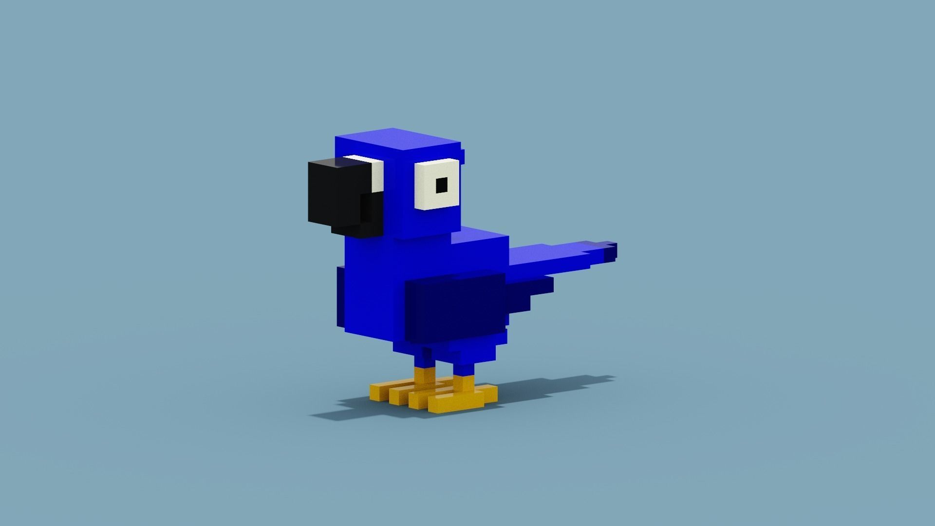 Voxel Blue Parrot Low-poly 3D model_10