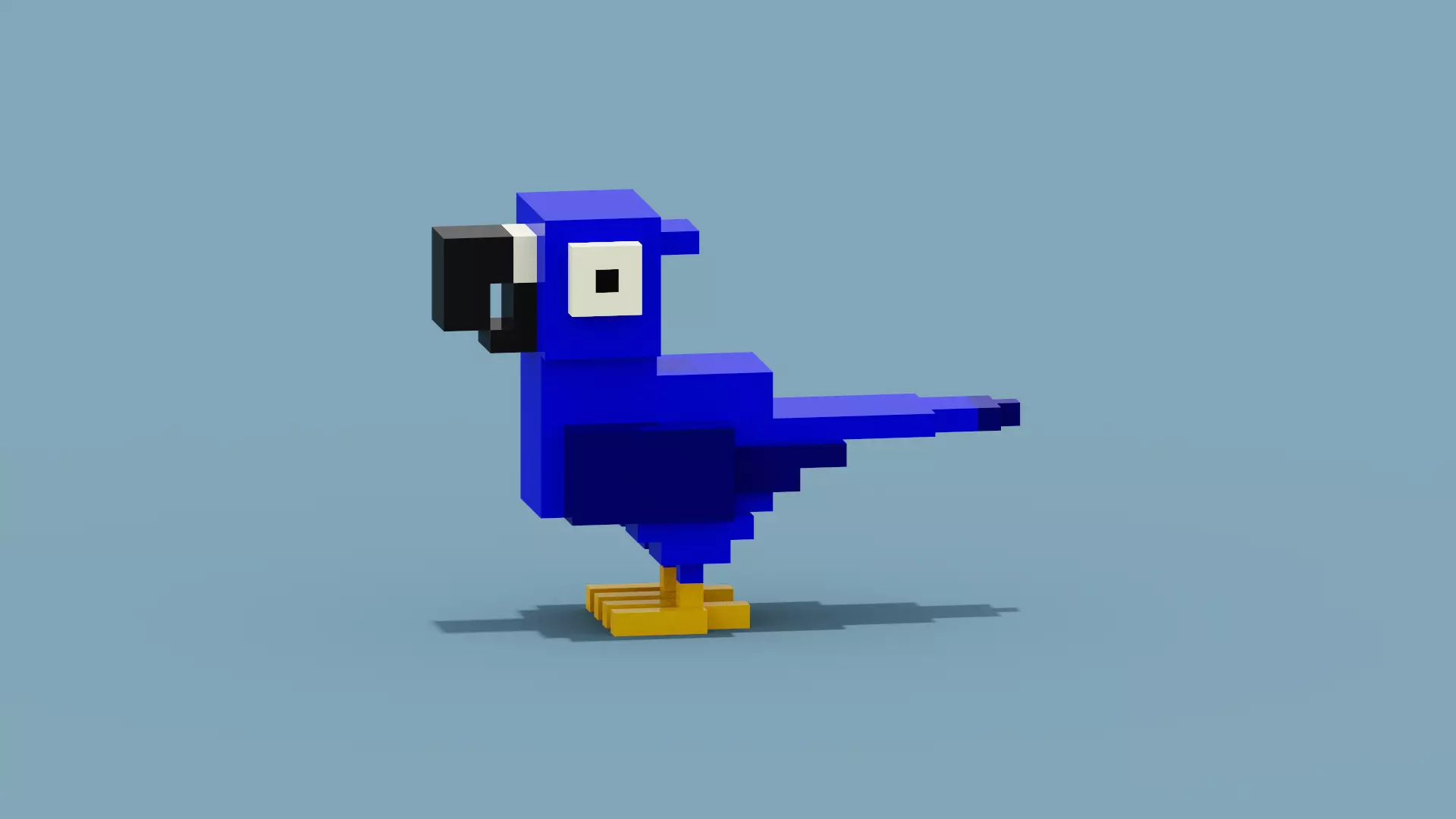 Voxel Blue Parrot Low-poly 3D model_0