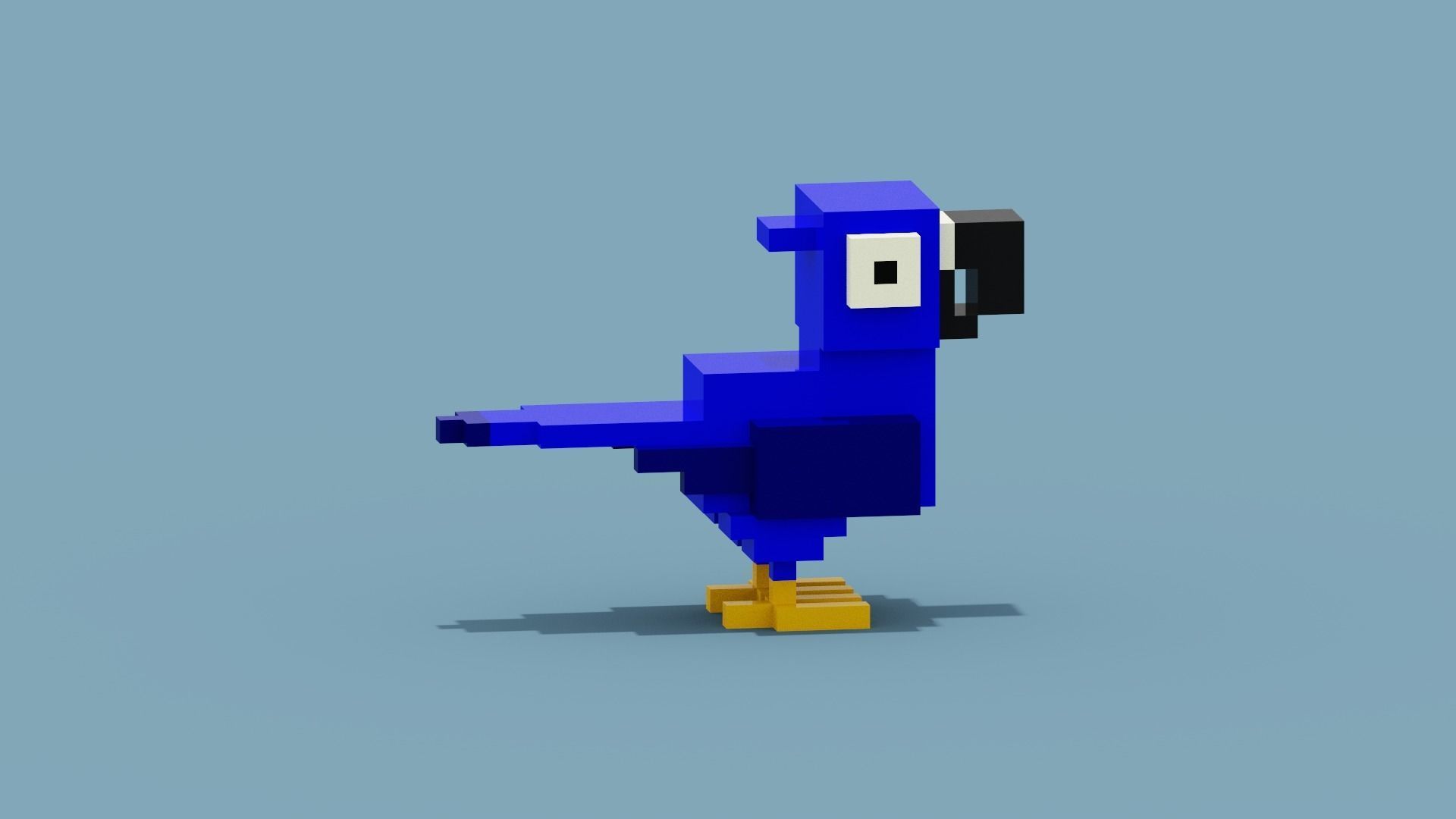 Voxel Blue Parrot Low-poly 3D model_6