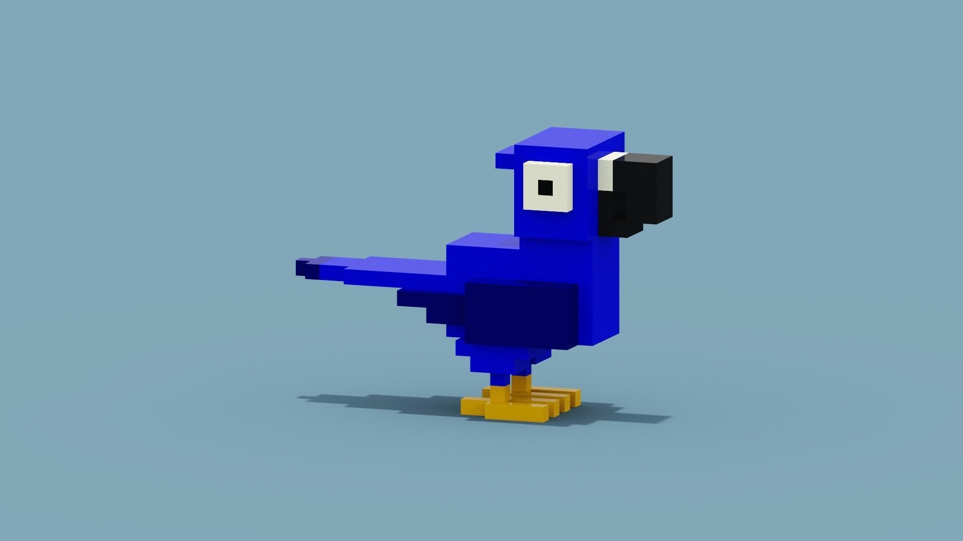 Voxel Blue Parrot Low-poly 3D model_7