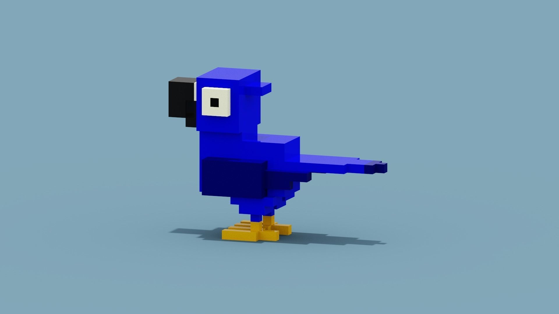 Voxel Blue Parrot Low-poly 3D model_1