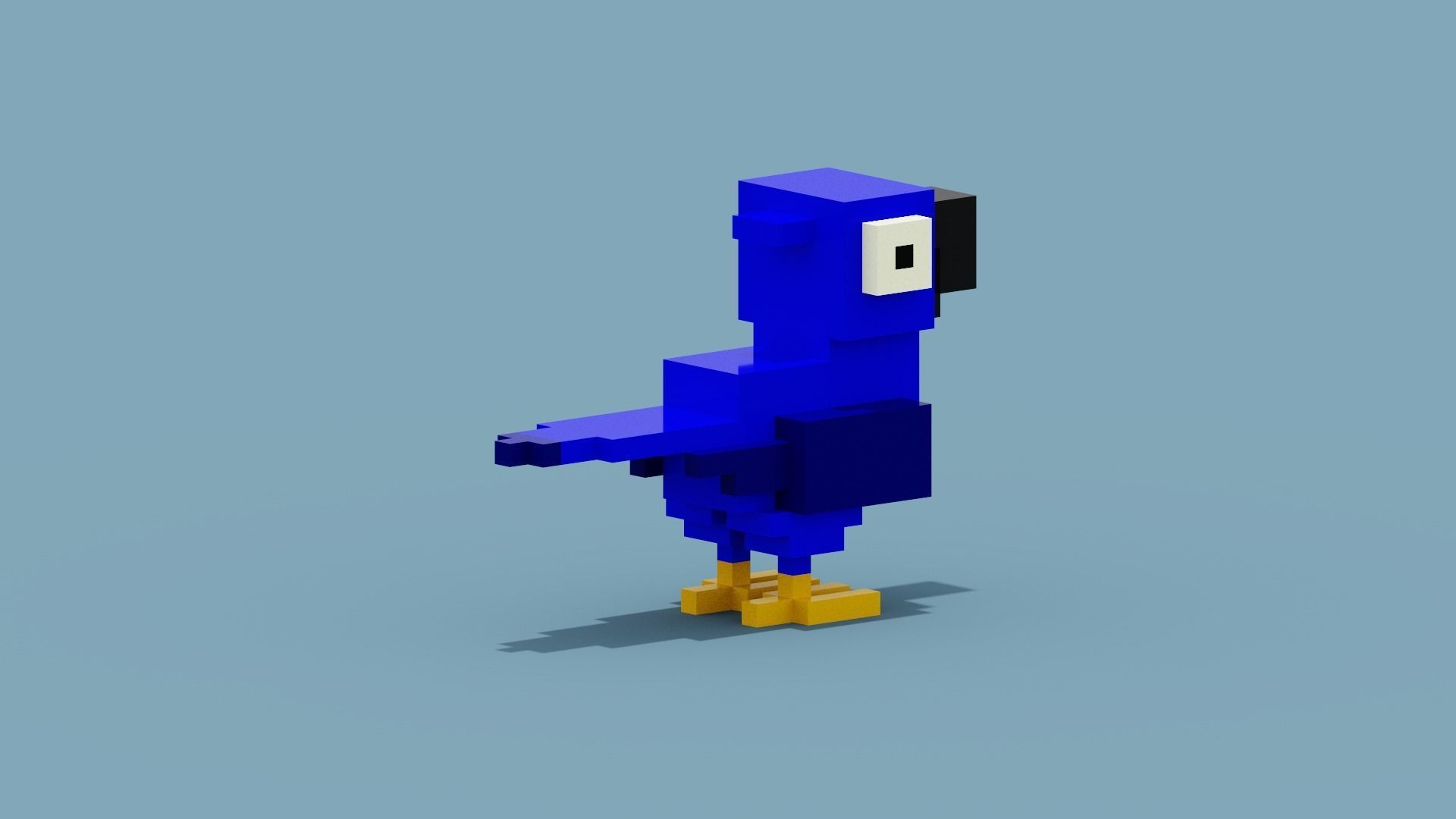 Voxel Blue Parrot Low-poly 3D model_5