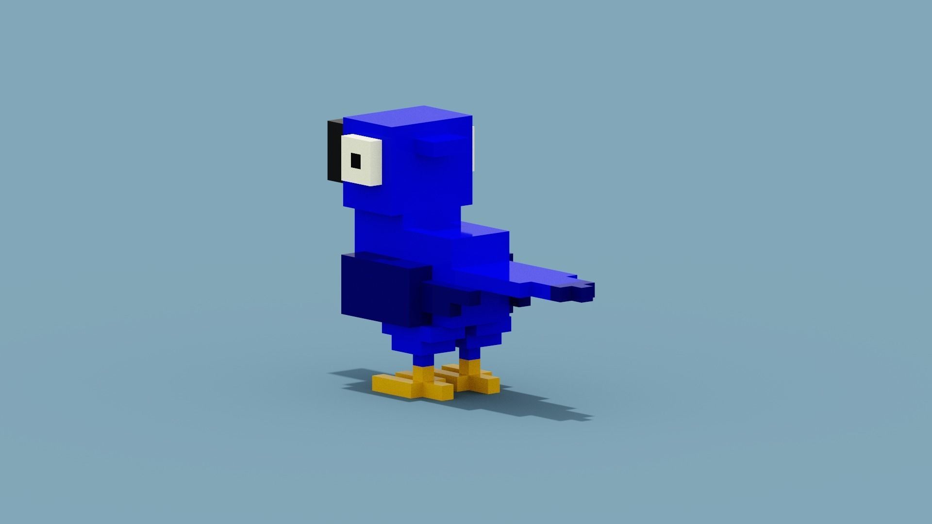 Voxel Blue Parrot Low-poly 3D model_3