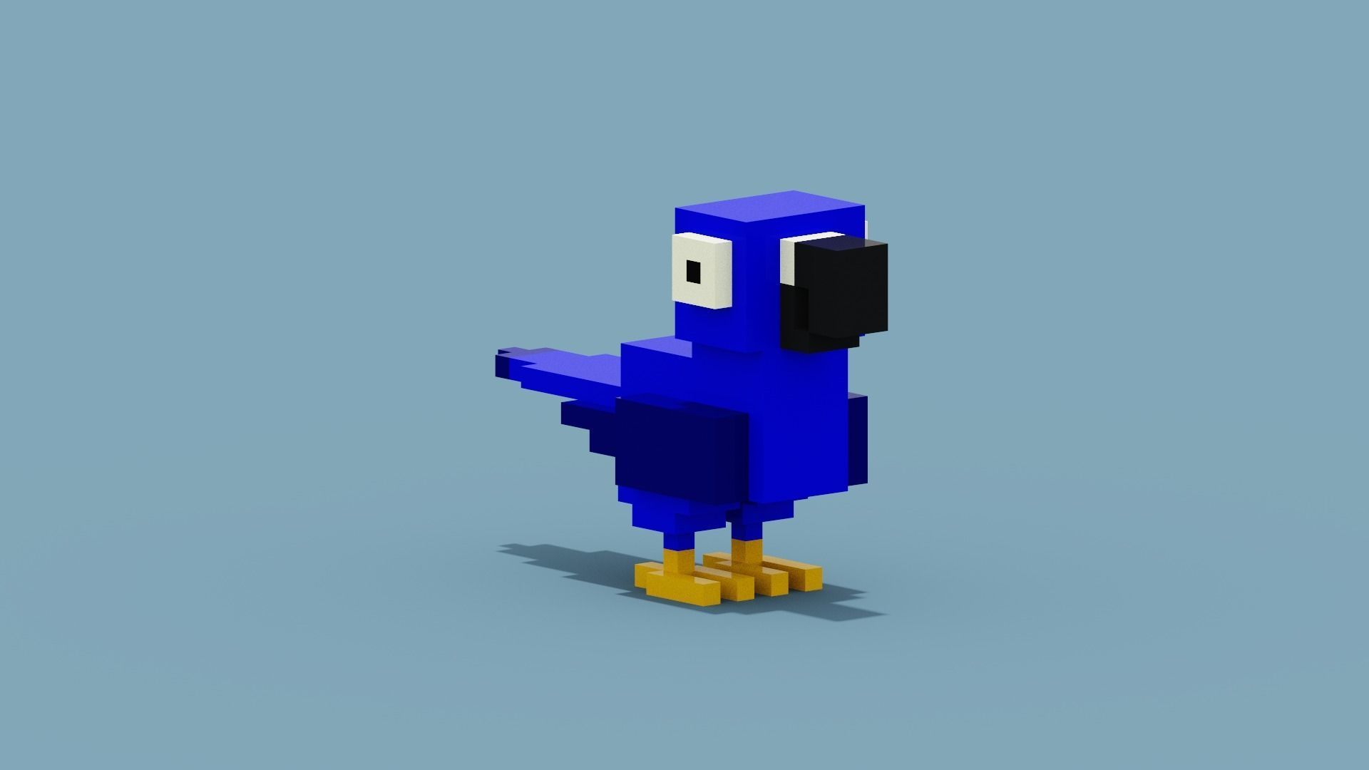 Voxel Blue Parrot Low-poly 3D model_8