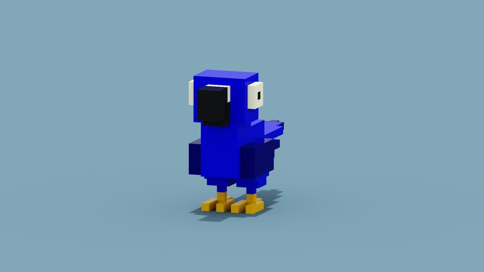 Voxel Blue Parrot Low-poly 3D model_11