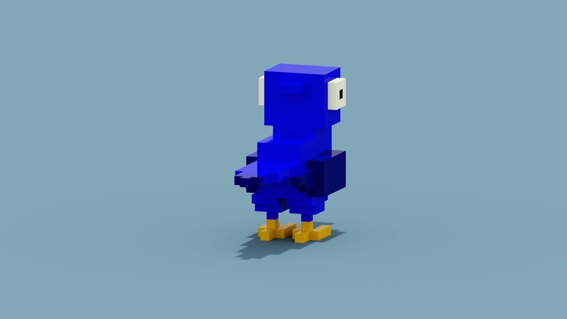 Voxel Blue Parrot Low-poly 3D model_4