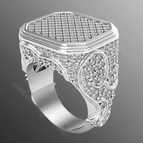Ring ri 217 3D print model