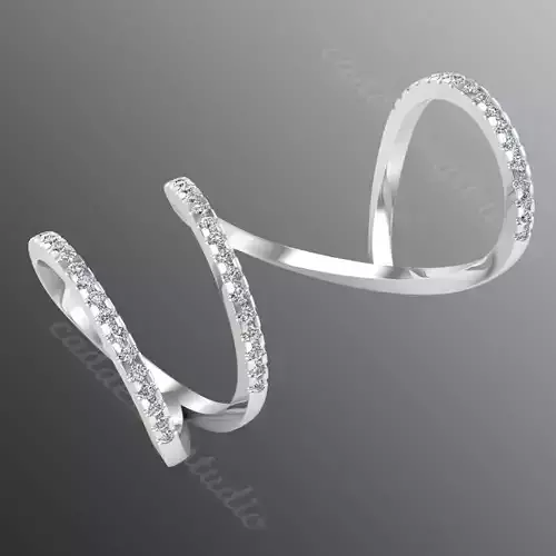 Ring ri 224