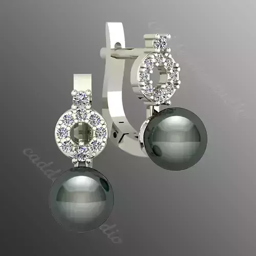 Earrings n3