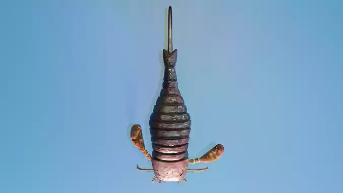 Eurypterus Remipes Free low-poly 3D model