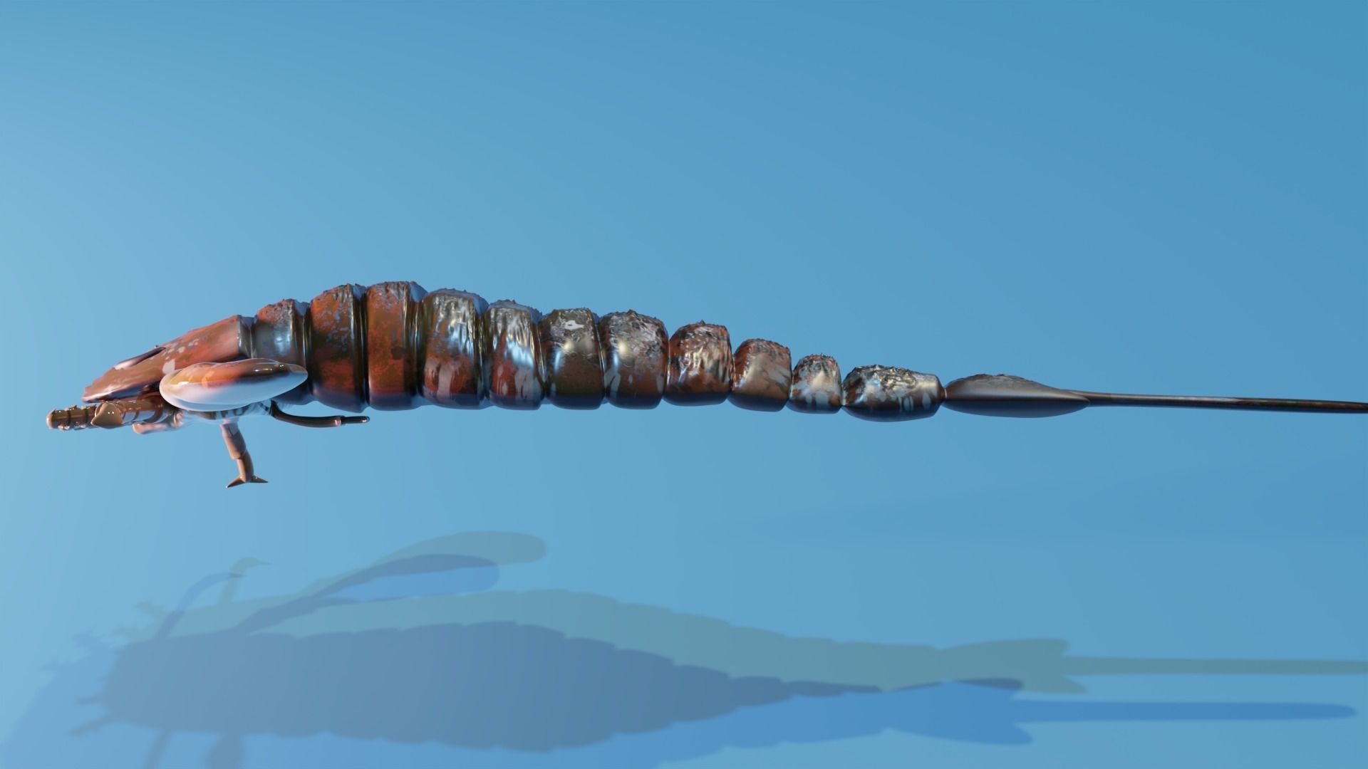 Eurypterus Remipes Free low-poly 3D model_2