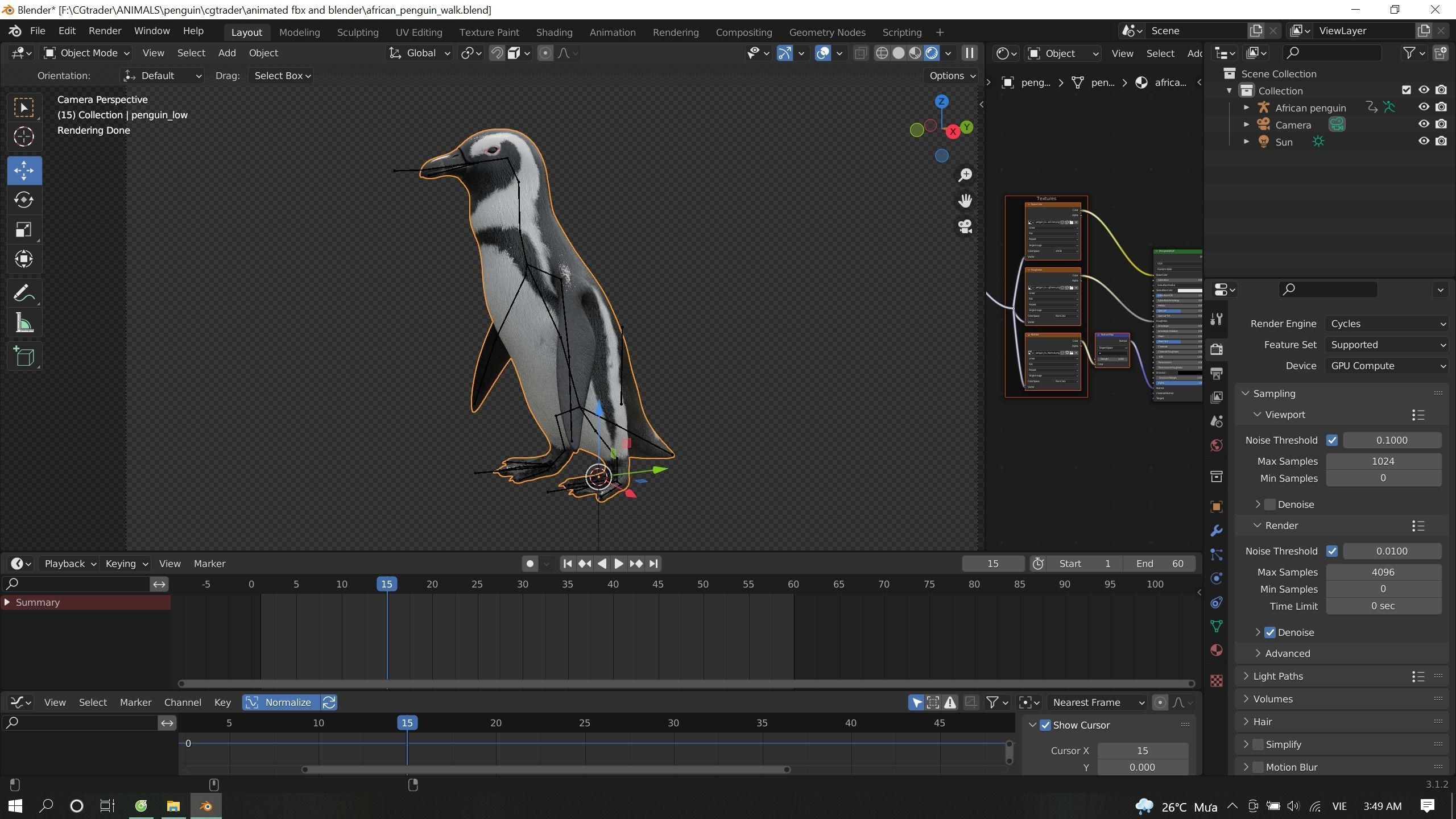African penguin Low-poly 3D model_17