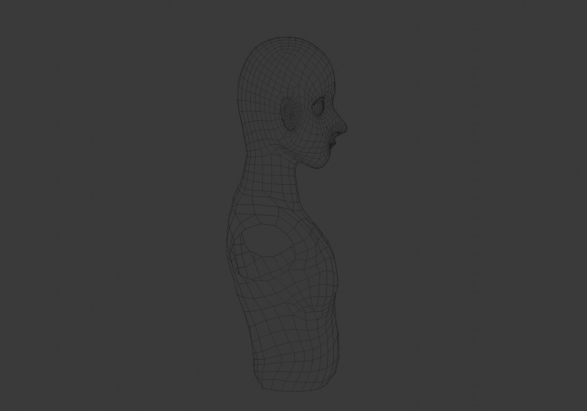 male upper body  3D model_7