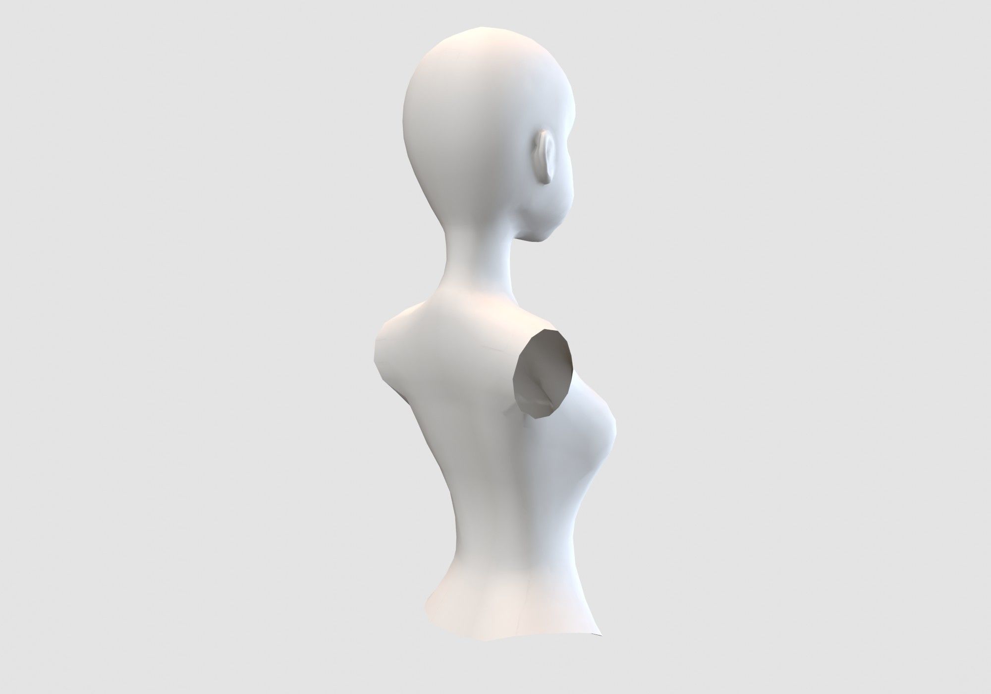 female body torso 3D model_3