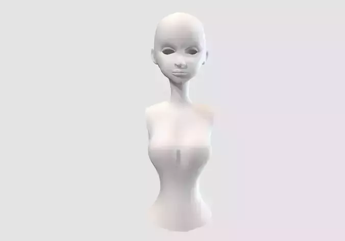 female body torso 3D model female body torso 3D model