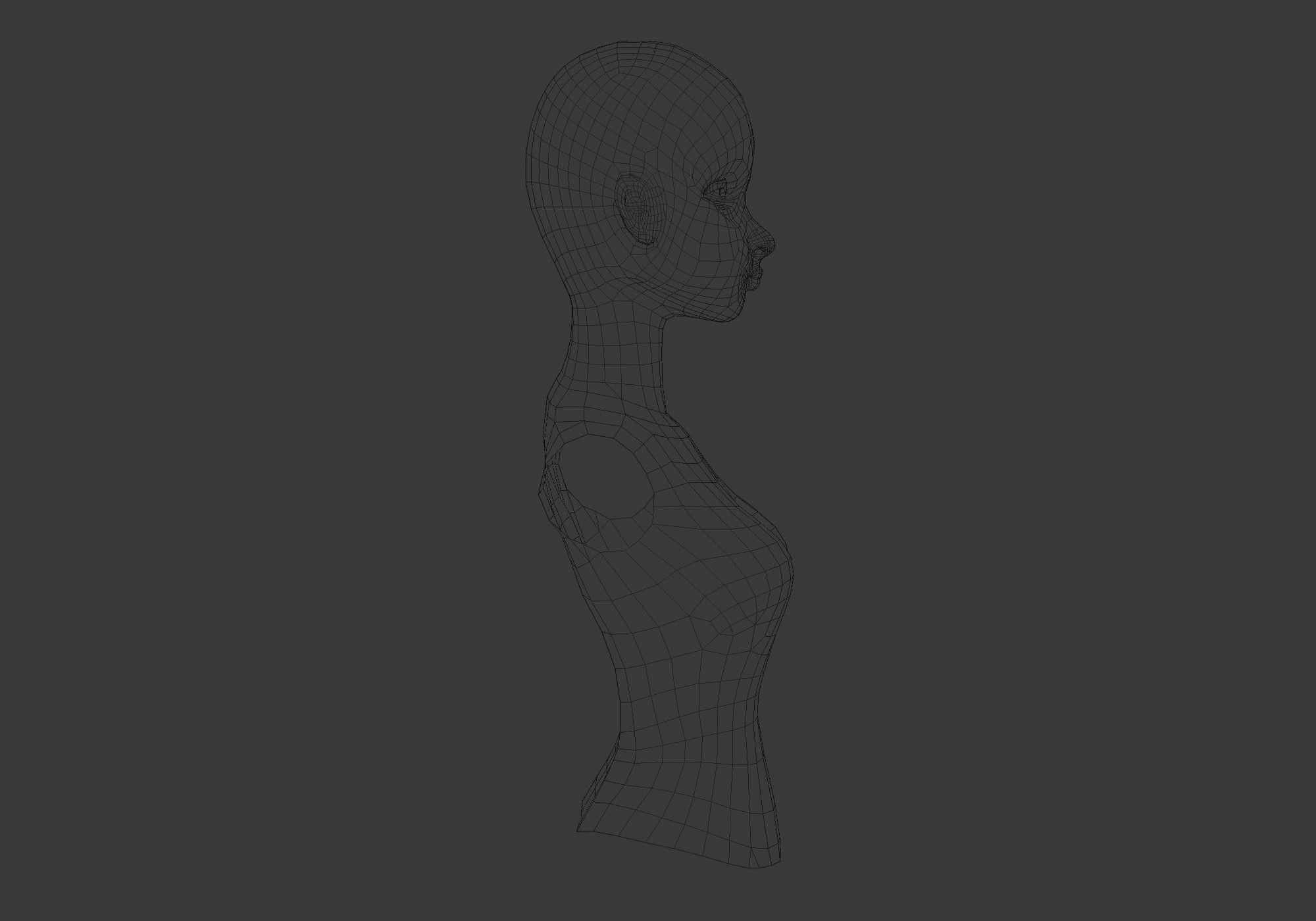 female body torso 3D model_7