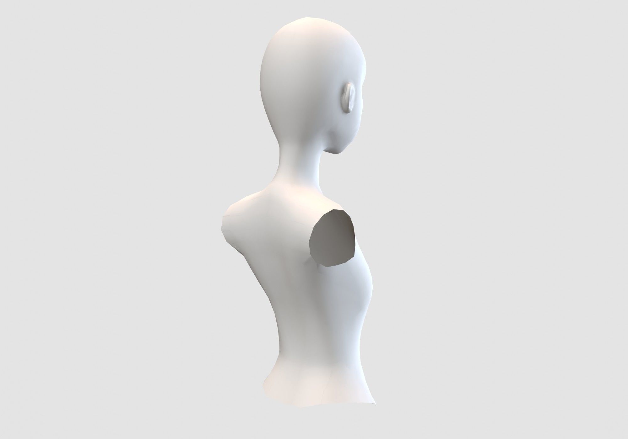 basic female torso 3D model_3