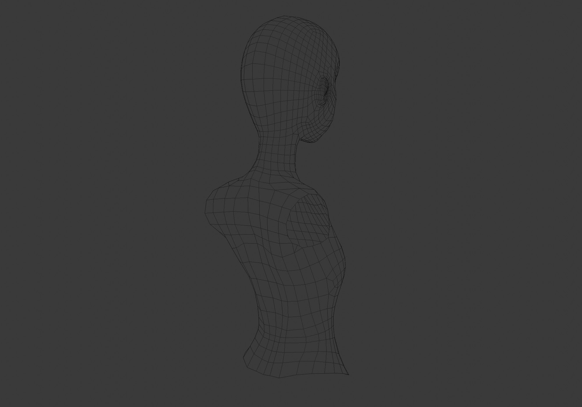 basic female torso 3D model_8