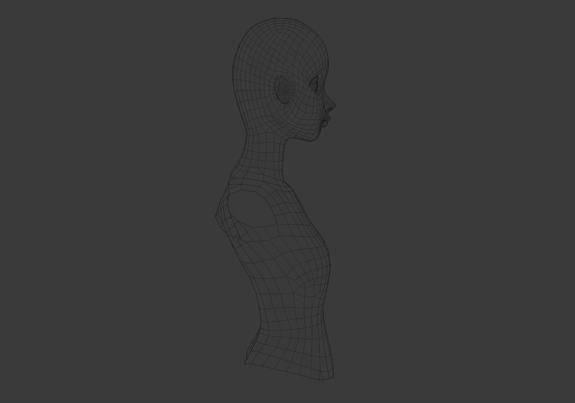 basic female torso 3D model_7