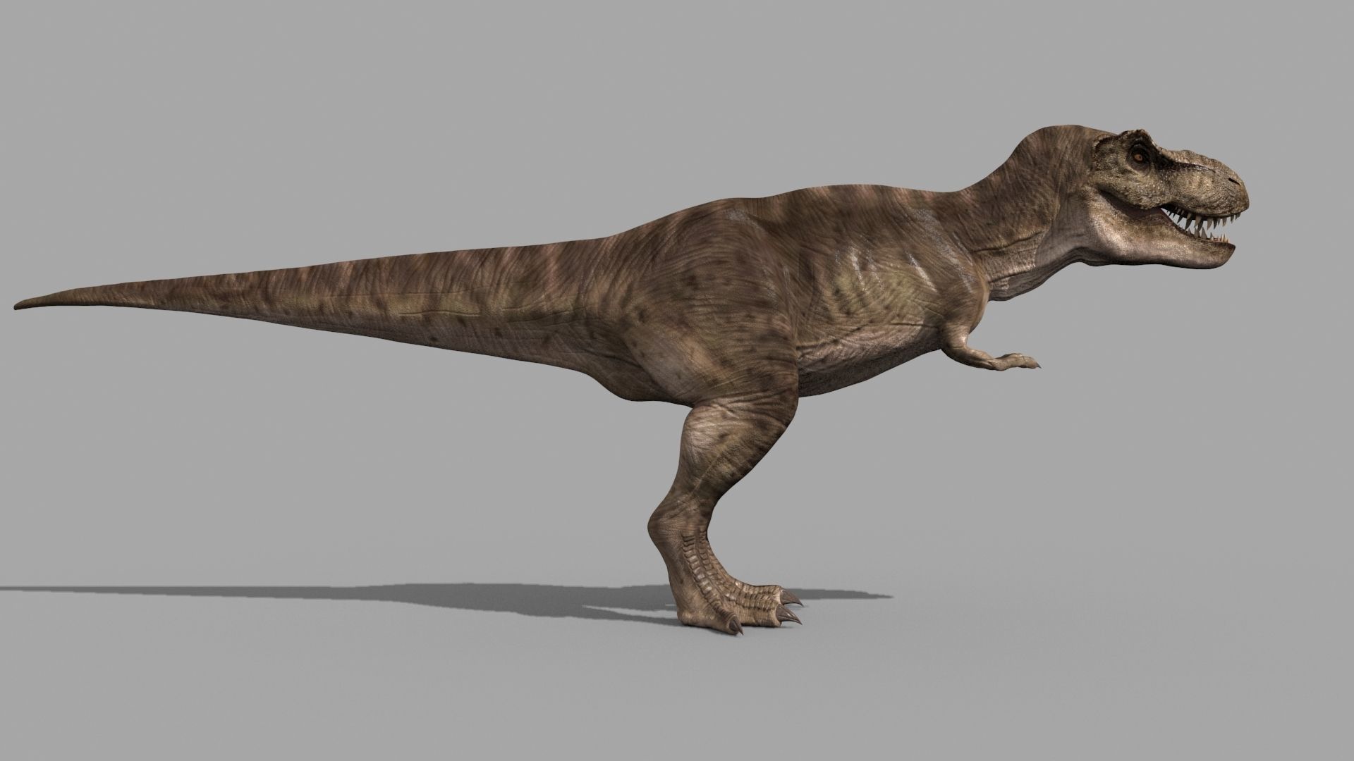 T Rex Premium 8K - fully animated 3D model_17