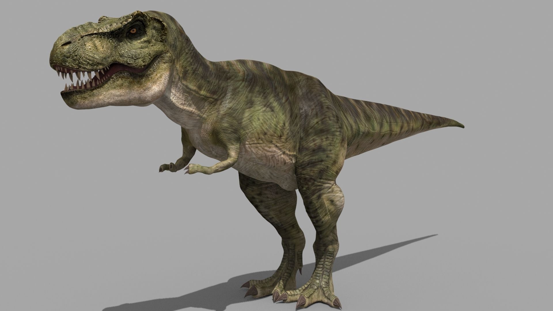 T Rex Premium 8K - fully animated 3D model_30