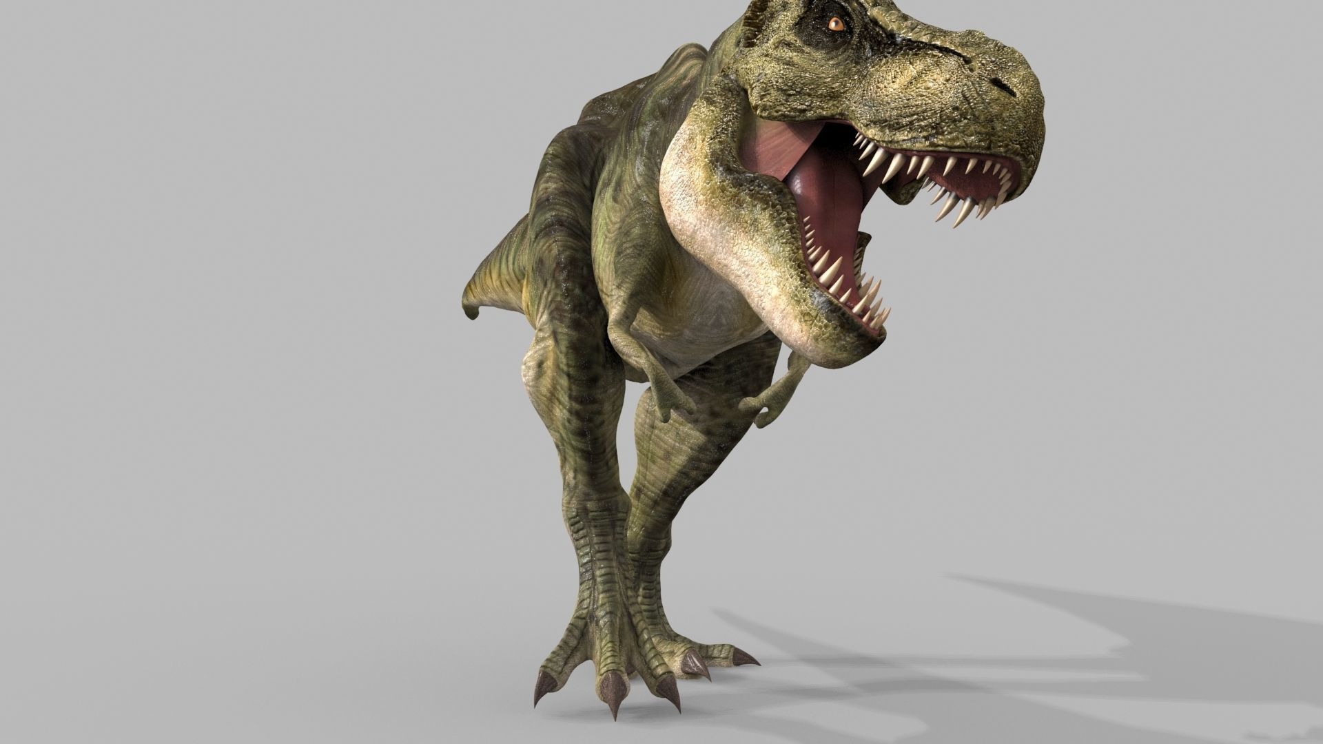 T Rex Premium 8K - fully animated 3D model_27